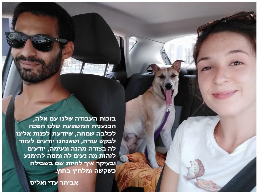 עדי ואביתר (הורים של אליס)