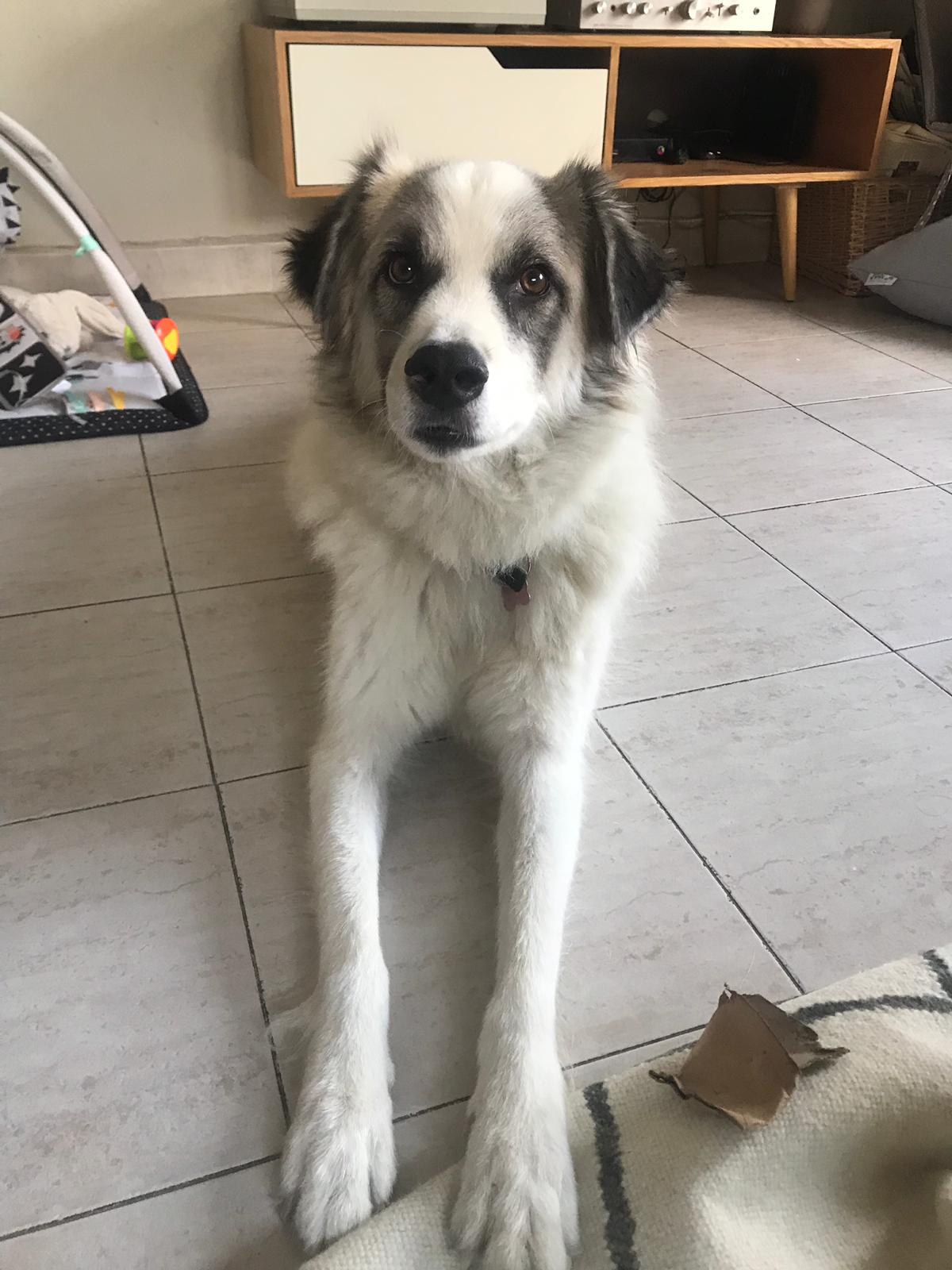 יוגב ונעמה (הורים של סם)