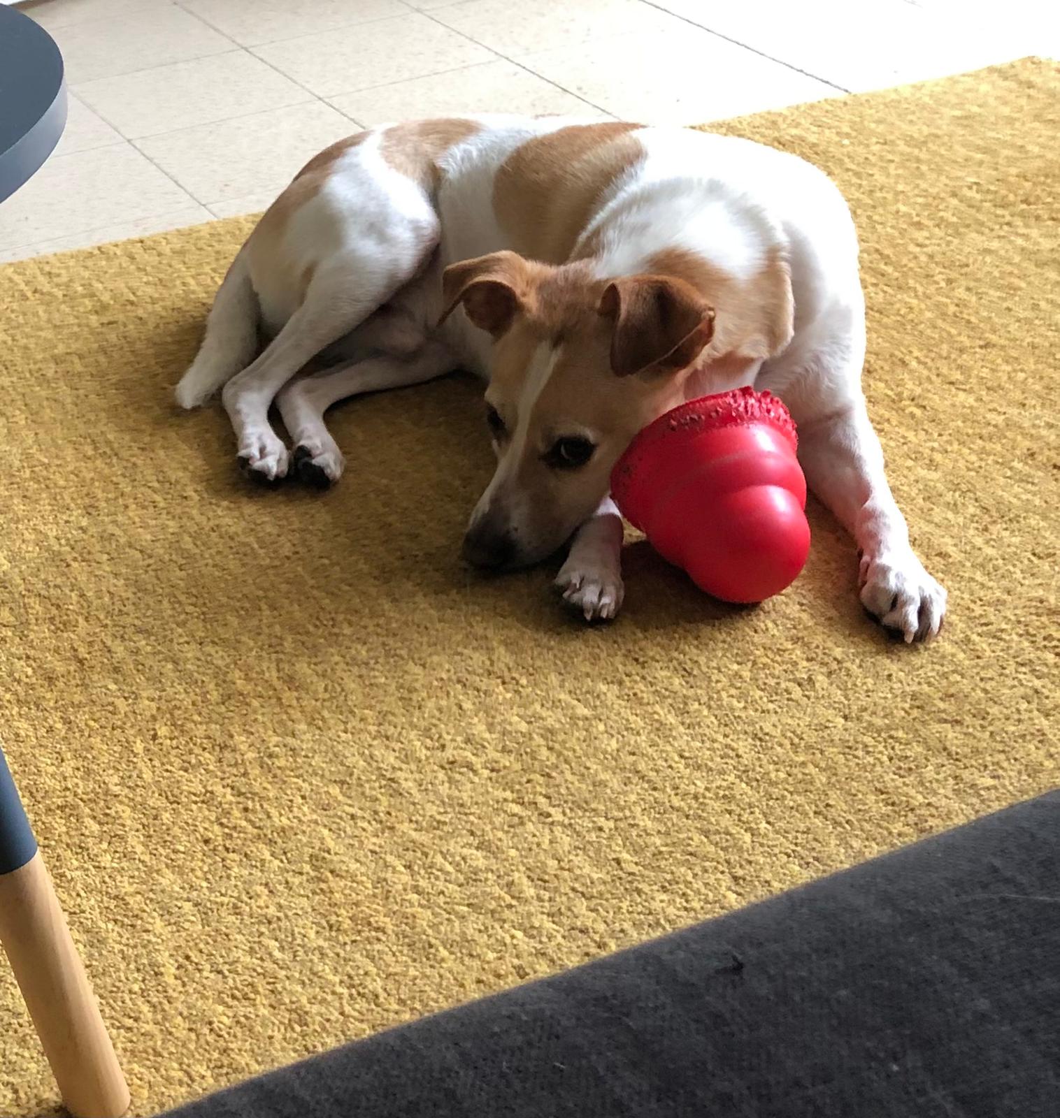 טלי ויניב (הורים של מיקו)